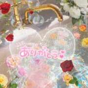 ヒメ日記 2026/07/23 12:26 投稿 なの 妖精（ようせい）