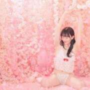 ヒメ日記 2026/09/07 23:55 投稿 なの 妖精（ようせい）