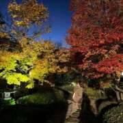 ヒメ日記 2025/06/15 11:44 投稿 うみ 妖精（ようせい）