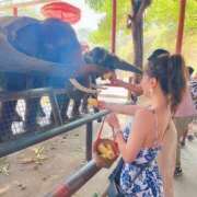 ヒメ日記 2025/06/30 12:19 投稿 うみ 妖精（ようせい）