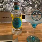 ヒメ日記 2025/09/18 01:28 投稿 うみ 妖精（ようせい）