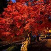 ヒメ日記 2025/10/30 01:16 投稿 うみ 妖精（ようせい）