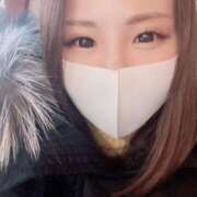 ヒメ日記 2025/11/12 16:59 投稿 うみ 妖精（ようせい）