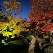 ヒメ日記 2025/11/15 03:15 投稿 うみ 妖精（ようせい）