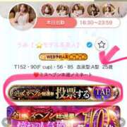 ヒメ日記 2025/11/18 13:27 投稿 うみ 妖精（ようせい）