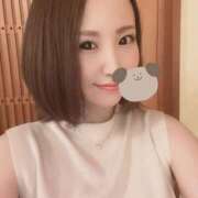 ヒメ日記 2025/11/23 15:30 投稿 うみ 妖精（ようせい）