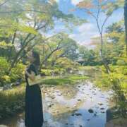 ヒメ日記 2025/11/27 16:04 投稿 うみ 妖精（ようせい）