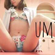 ヒメ日記 2025/12/04 05:07 投稿 うみ 妖精（ようせい）