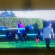 ヒメ日記 2025/12/28 15:42 投稿 うみ 妖精（ようせい）