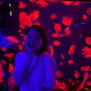 ヒメ日記 2026/01/17 15:36 投稿 うみ 妖精（ようせい）