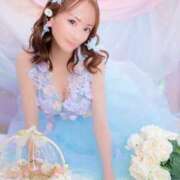 ヒメ日記 2026/04/14 17:35 投稿 うみ 妖精（ようせい）