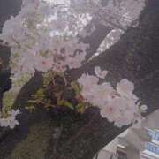 ヒメ日記 2026/01/16 12:29 投稿 すず 妖精（ようせい）