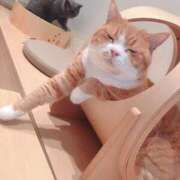 ヒメ日記 2026/01/25 11:35 投稿 すず 妖精（ようせい）