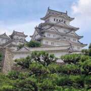 ヒメ日記 2026/01/31 10:42 投稿 すず 妖精（ようせい）