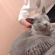 ヒメ日記 2026/02/01 11:26 投稿 すず 妖精（ようせい）