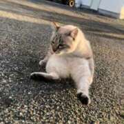 ヒメ日記 2026/02/23 14:12 投稿 すず 妖精（ようせい）