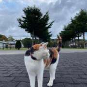 ヒメ日記 2026/02/25 07:35 投稿 すず 妖精（ようせい）