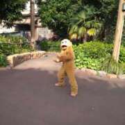 ヒメ日記 2026/02/26 14:25 投稿 すず 妖精（ようせい）