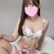 ヒメ日記 2025/06/16 07:15 投稿 みみ 妖精（ようせい）