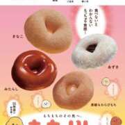 ヒメ日記 2025/06/21 11:02 投稿 みみ 妖精（ようせい）