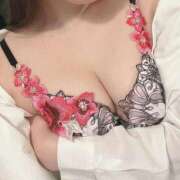 ヒメ日記 2025/06/29 07:15 投稿 みみ 妖精（ようせい）