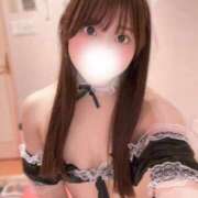 ヒメ日記 2025/07/12 12:51 投稿 みみ 妖精（ようせい）