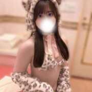 ヒメ日記 2025/07/13 18:36 投稿 みみ 妖精（ようせい）