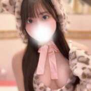 ヒメ日記 2025/09/04 12:03 投稿 みみ 妖精（ようせい）