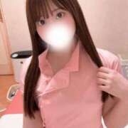 ヒメ日記 2025/09/11 13:50 投稿 みみ 妖精（ようせい）