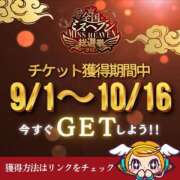 ヒメ日記 2025/09/16 21:01 投稿 みみ 妖精（ようせい）