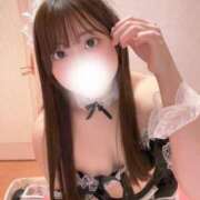 ヒメ日記 2025/09/22 12:22 投稿 みみ 妖精（ようせい）