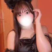 ヒメ日記 2025/09/29 14:51 投稿 みみ 妖精（ようせい）