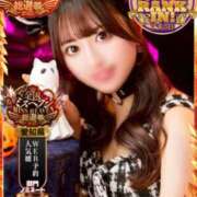 ヒメ日記 2025/10/11 13:02 投稿 みみ 妖精（ようせい）