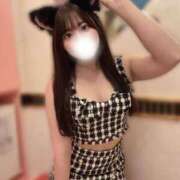 ヒメ日記 2025/10/13 18:16 投稿 みみ 妖精（ようせい）