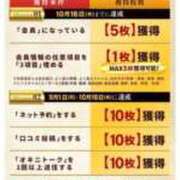 ヒメ日記 2025/10/15 12:16 投稿 みみ 妖精（ようせい）