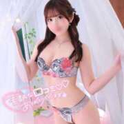 ヒメ日記 2025/10/17 22:15 投稿 みみ 妖精（ようせい）