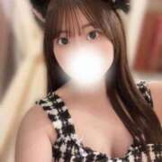 ヒメ日記 2025/10/23 13:56 投稿 みみ 妖精（ようせい）