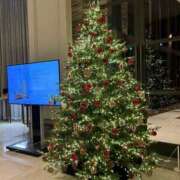 ヒメ日記 2025/11/11 22:15 投稿 みみ 妖精（ようせい）