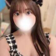 ヒメ日記 2025/11/14 23:34 投稿 みみ 妖精（ようせい）