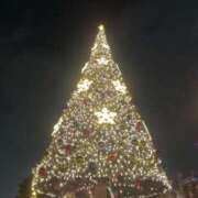 ヒメ日記 2025/12/15 23:15 投稿 みみ 妖精（ようせい）