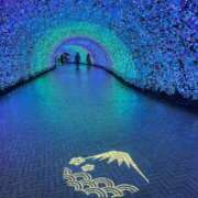 ヒメ日記 2025/12/25 07:15 投稿 みみ 妖精（ようせい）