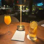 ヒメ日記 2026/02/04 23:35 投稿 みみ 妖精（ようせい）