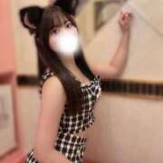 ヒメ日記 2026/02/06 14:35 投稿 みみ 妖精（ようせい）