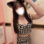 ヒメ日記 2026/02/28 07:36 投稿 みみ 妖精（ようせい）