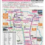 ヒメ日記 2026/03/08 10:15 投稿 みみ 妖精（ようせい）