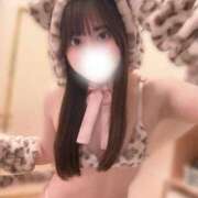 ヒメ日記 2026/04/01 22:23 投稿 みみ 妖精（ようせい）