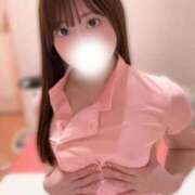 ヒメ日記 2026/04/11 14:05 投稿 みみ 妖精（ようせい）