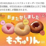 ヒメ日記 2026/05/27 12:15 投稿 みみ 妖精（ようせい）