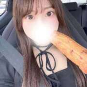 ヒメ日記 2026/07/14 21:08 投稿 みみ 妖精（ようせい）