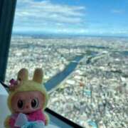 ヒメ日記 2025/09/24 09:26 投稿 ヨナ ニューグランド